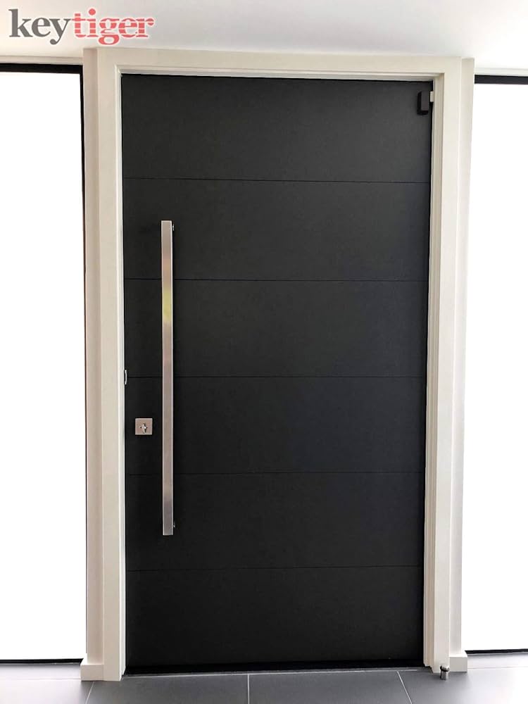 Flügelüberdeckende Haustür mit Stangengriff auf der Füllung